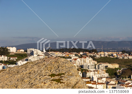 Seagull Perched on Summit Overlooking Scenic Coastal City at Dusk 137558069