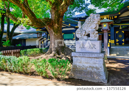 穴八幡宮, 新宿區, 東京都, Haiden 137558126