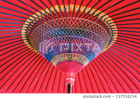 日本紅傘 137558234