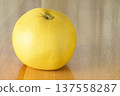 The world's largest citrus fruit, "Banpeiyu" (product photography) 137558287