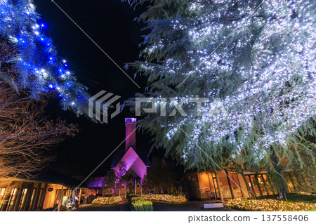 Nabana no Sato Kawazu Cherry Blossom and Plum Grove Light-Up & Illumination 137558406