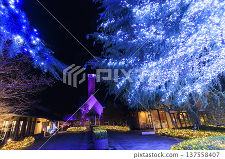 Nabana no Sato Kawazu Cherry Blossom and Plum Grove Light-Up & Illumination Nabana no Sato Kawazu Cherry Blossom and Plum Grove Light-Up & Illumination 137558407