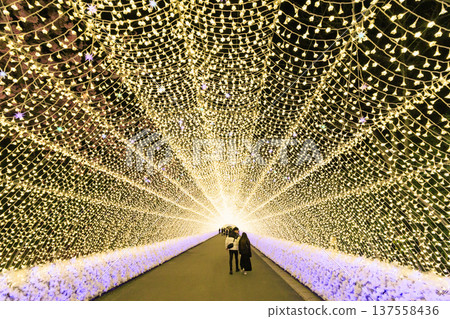 Nabana no Sato Kawazu Cherry Blossom and Plum Grove Light-Up & Illumination Nabana no Sato Kawazu Cherry Blossom and Plum Grove Light-Up & Illumination 137558436