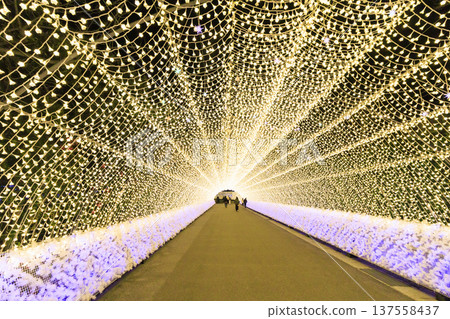 Nabana no Sato Kawazu Cherry Blossom and Plum Grove Light-Up & Illumination Nabana no Sato Kawazu Cherry Blossom and Plum Grove Light-Up & Illumination 137558437