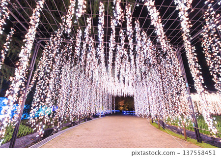 河津名花之裡櫻花梅園燈光秀 137558451