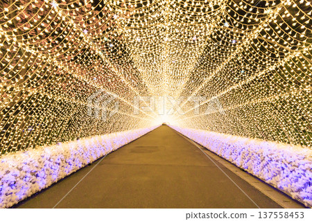 Nabana no Sato Kawazu Cherry Blossom and Plum Grove Light-Up & Illumination Nabana no Sato Kawazu Cherry Blossom and Plum Grove Light-Up & Illumination 137558453