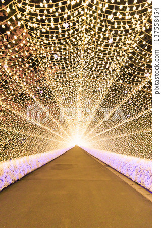 Nabana no Sato Kawazu Cherry Blossom and Plum Grove Light-Up & Illumination Nabana no Sato Kawazu Cherry Blossom and Plum Grove Light-Up & Illumination 137558454