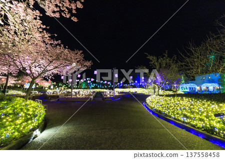 河津名花之裡櫻花梅園燈光秀 137558458