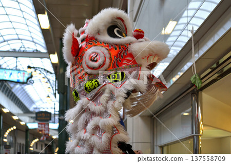 舞獅 南京町農曆新年 舞獅彩生“宿木鳥” 137558709