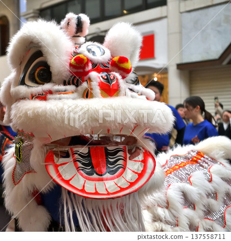 Lion Dance Nankinmachi Chinese New Year Festival Lion Dance Saisei "Shukugi Tori" Lion Dance Nankinmachi Chinese New Year Festival Lion Dance Saisei "Shukugi Tori" 137558711