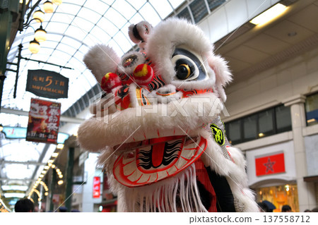 舞獅 南京町農曆新年 舞獅彩生“宿木鳥” 舞獅 南京町農曆新年 舞獅彩生“宿木鳥” 137558712