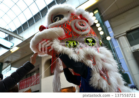 Lion Dance Nankinmachi Chinese New Year Festival Lion Dance Saisei "Shukugi Tori" Lion Dance Nankinmachi Chinese New Year Festival Lion Dance Saisei "Shukugi Tori" 137558721