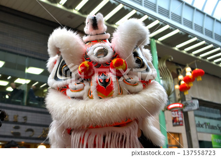舞獅 南京町農曆新年 舞獅彩生“宿木鳥” 舞獅 南京町農曆新年 舞獅彩生“宿木鳥” 137558723
