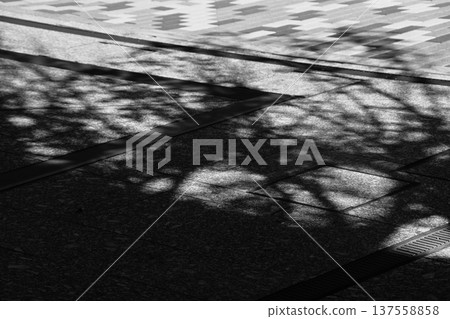 Shadows of trees and patterns on the cobblestones of the street Shadows of trees and patterns on the cobblestones of the street 137558858