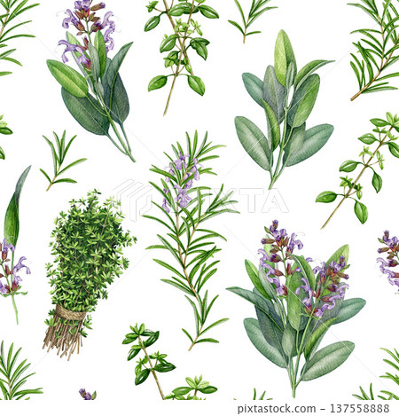 Watercolor culinary herbs seamless pattern from sage, thyme, rosemary herbs. Botanical herbs background, aromatic garden plants illustration. Natural herbal pattern for textile, packaging design Watercolor culinary herbs seamless pattern from sage, thyme, rosemary herbs. Botanical herbs background, aromatic garden plants illustration. Natural herbal pattern for textile, packaging design 137558888