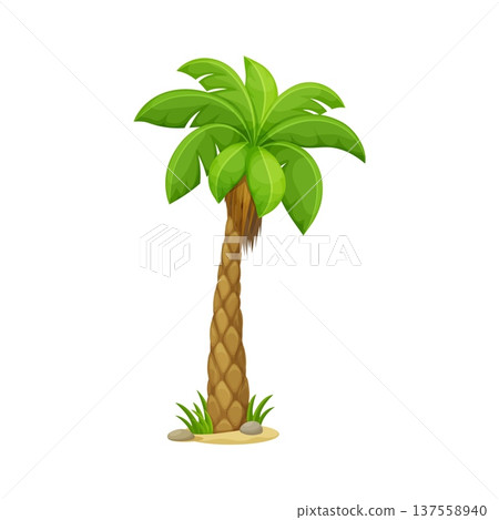 Cartoon tropical palm tree with large curved green leaves, textured brown trunk, sand, stones and grass. Vector exotic island plant with natural foliage. Isolated tropical palm tree jungle landscape Cartoon tropical palm tree with large curved green leaves, textured brown trunk, sand, stones and grass. Vector exotic island plant with natural foliage. Isolated tropical palm tree jungle landscape 137558940