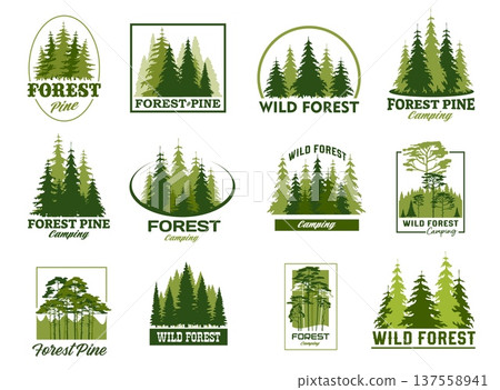 Pine trees forest silhouette icons, park and outdoor camp vector symbols set with evergreen woods in minimal line geometric frames. Wild forest camp or park green icons with pine, fir or spruce trees Pine trees forest silhouette icons, park and outdoor camp vector symbols set with evergreen woods in minimal line geometric frames. Wild forest camp or park green icons with pine, fir or spruce trees 137558941