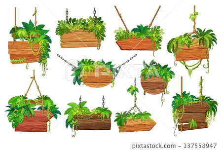 Wooden sign boards with jungle forest liana vines and plant leaves, vector game UI. Cartoon hanging wood signboards and signages, road signs and arrow banners with jungle trees and monstera leaves Wooden sign boards with jungle forest liana vines and plant leaves, vector game UI. Cartoon hanging wood signboards and signages, road signs and arrow banners with jungle trees and monstera leaves 137558947