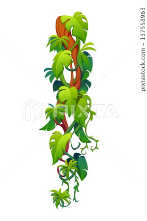 Vertical tropical jungle rain forest liana vine branch. Creeper shrub branch separator vector line, ivy fern foliage underline spacer. Climbing plant twig frame divider or vine liana leaves border 137558963