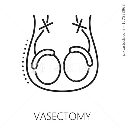 Vasectomy contraception method line icon or label. Birth control technique thin line vector symbol, family planning and contraception method sign. Pregnancy prevention icon with testicles cut tubes 137558968