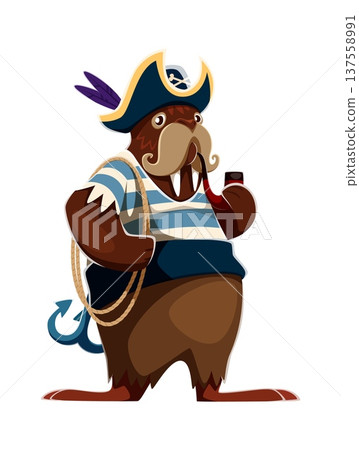 Cartoon brown walrus boatswain animal pirate vector character holds a smoking pipe and carries a rope with anchor behind him. Corsair dressed in sailor clothes and a wide belt 137558991