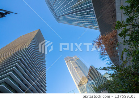 Morning view of skyscrapers symbolizing urban growth and real estate investment Morning view of skyscrapers symbolizing urban growth and real estate investment 137559105
