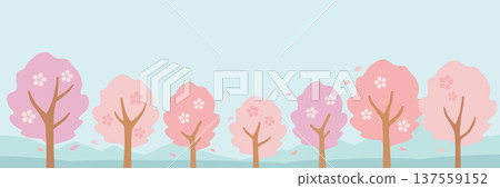 Cherry blossom trees and blue sky banner background 137559152