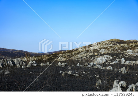 這是廣闊的喀斯特高原的景象,在宣告春天到來的「燒山」儀式之後,高原被染成了黑色。 這是廣闊的喀斯特高原的景象,在宣告春天到來的「燒山」儀式之後,高原被染成了黑色。 137559243