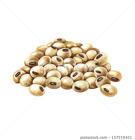 A pile of soybeans. Hand-drawn watercolor illustration. Isolate. Perfect for creating product labels, posters, banners, menus, and more. A pile of soybeans. Hand-drawn watercolor illustration. Isolate. Perfect for creating product labels, posters, banners, menus, and more. 137559301