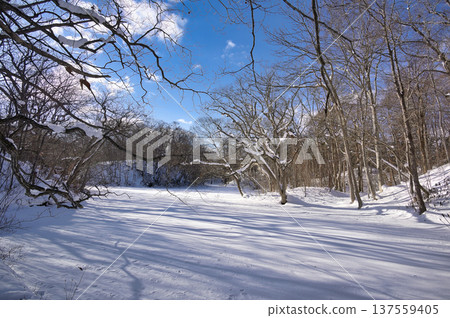 Onuma in winter, clear blue skies and white earth Onuma in winter, clear blue skies and white earth 137559405