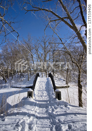 Onuma in winter, clear blue skies and white earth Onuma in winter, clear blue skies and white earth 137559406