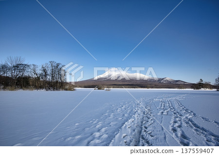 Onuma in winter, clear blue skies and white earth 137559407
