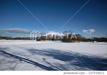 Onuma in winter, clear blue skies and white earth Onuma in winter, clear blue skies and white earth 137559411