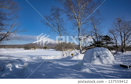 Onuma in winter, clear blue skies and white earth 137559412