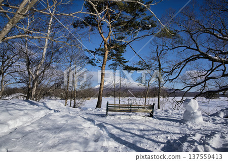 Onuma in winter, clear blue skies and white earth 137559413