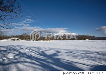 Onuma in winter, clear blue skies and white earth Onuma in winter, clear blue skies and white earth 137559414