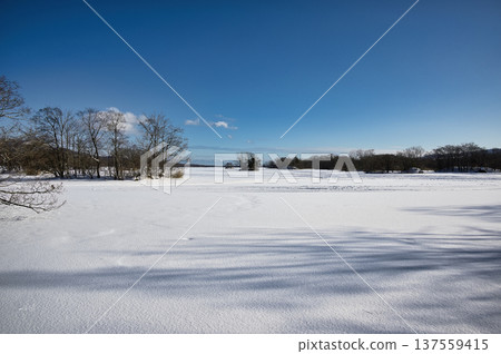 Onuma in winter, clear blue skies and white earth 137559415