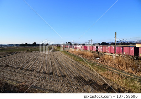 Morning freight train on the Tohoku Main Line Morning freight train on the Tohoku Main Line 137559696