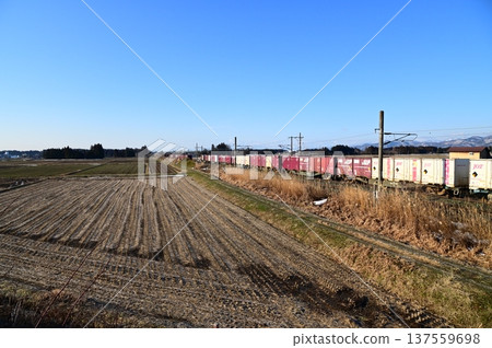Morning freight train on the Tohoku Main Line Morning freight train on the Tohoku Main Line 137559698