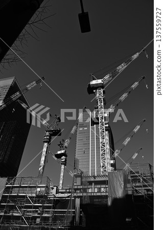 Tower cranes lined up at an urban redevelopment site 137559727