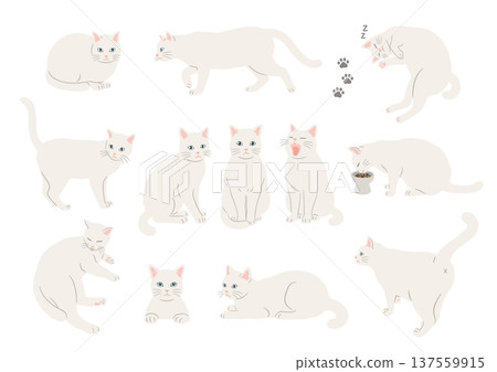 Illustration set of various poses of a white cat Illustration set of various poses of a white cat 137559915