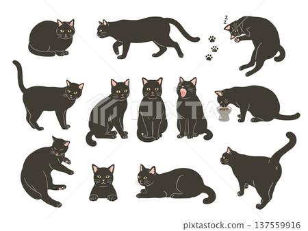 Illustration set of various poses of black cats Illustration set of various poses of black cats 137559916