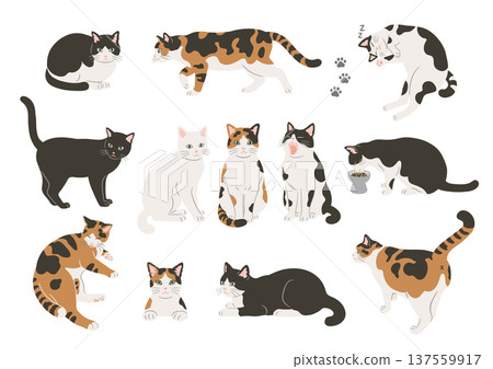 Illustration set of various poses of cats Illustration set of various poses of cats 137559917