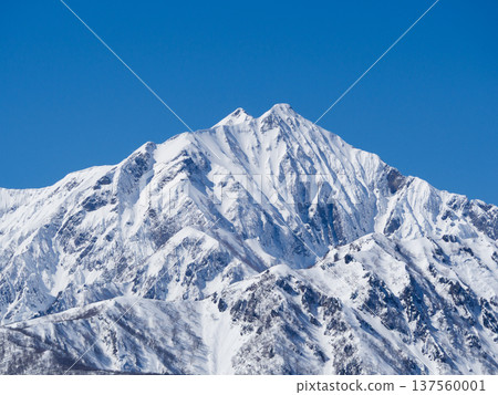 北阿爾卑斯山脈白雪皚皚的亞里山 137560001