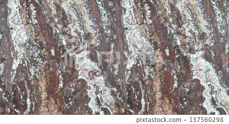 背景材料:原木 背景材料:原木 137560298