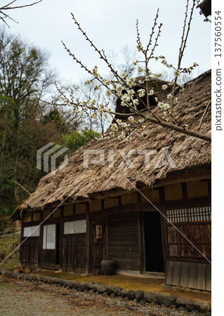 An old folk house that will warm your body and soul 137560554