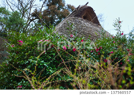An old folk house that will warm your body and soul 137560557