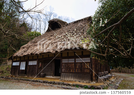 An old folk house that will warm your body and soul An old folk house that will warm your body and soul 137560559