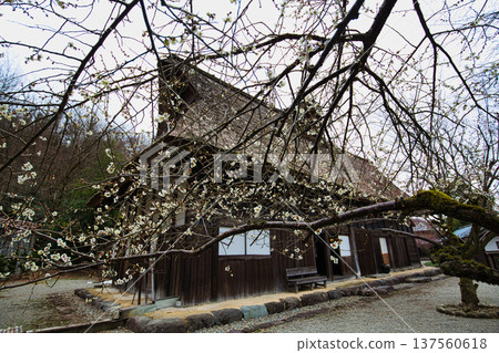 An old folk house that will warm your body and soul An old folk house that will warm your body and soul 137560618