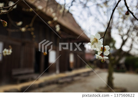 An old folk house that will warm your body and soul 137560622